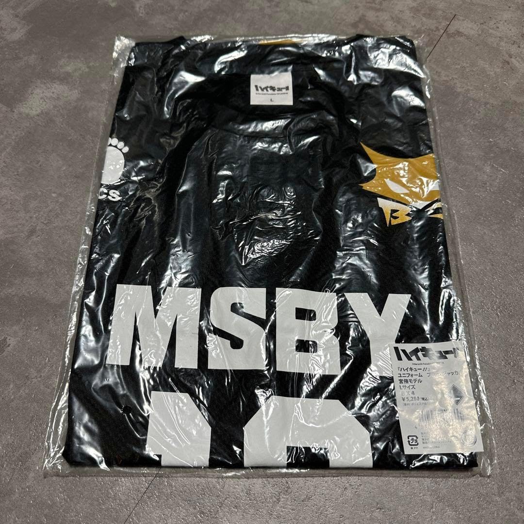 3031中日ドラゴンズユニフォーム &サインボールセット